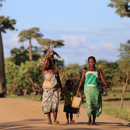 The happy island escape we all need